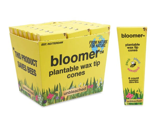 Bloomer Cones